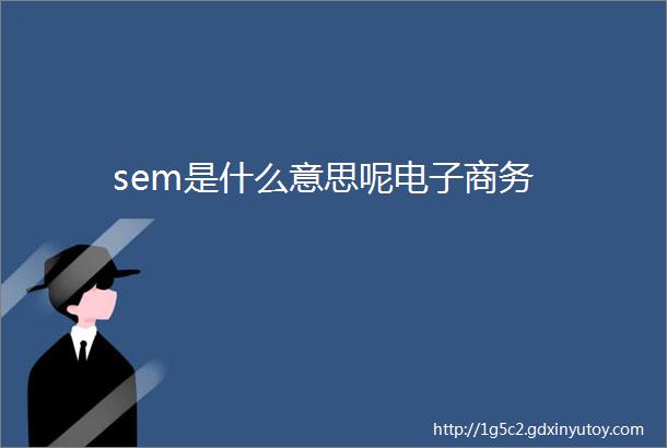 sem是什么意思呢电子商务